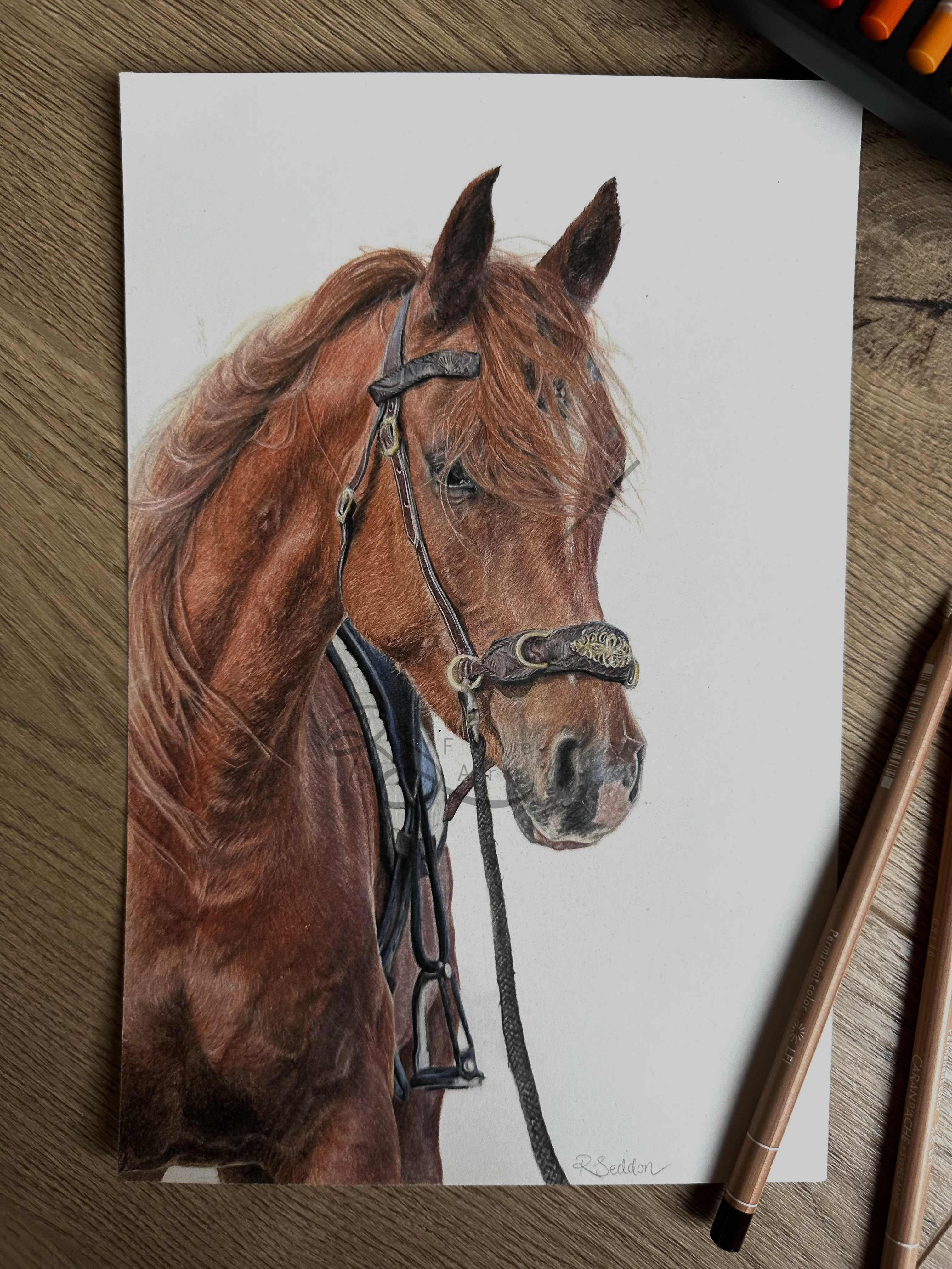 Horse