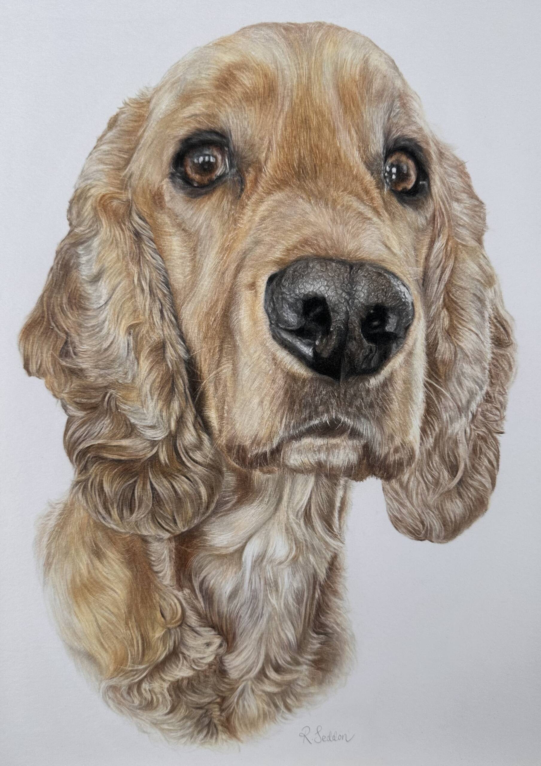 Alfie