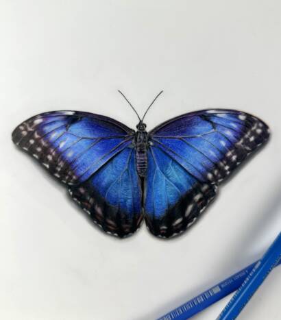 Gallery item